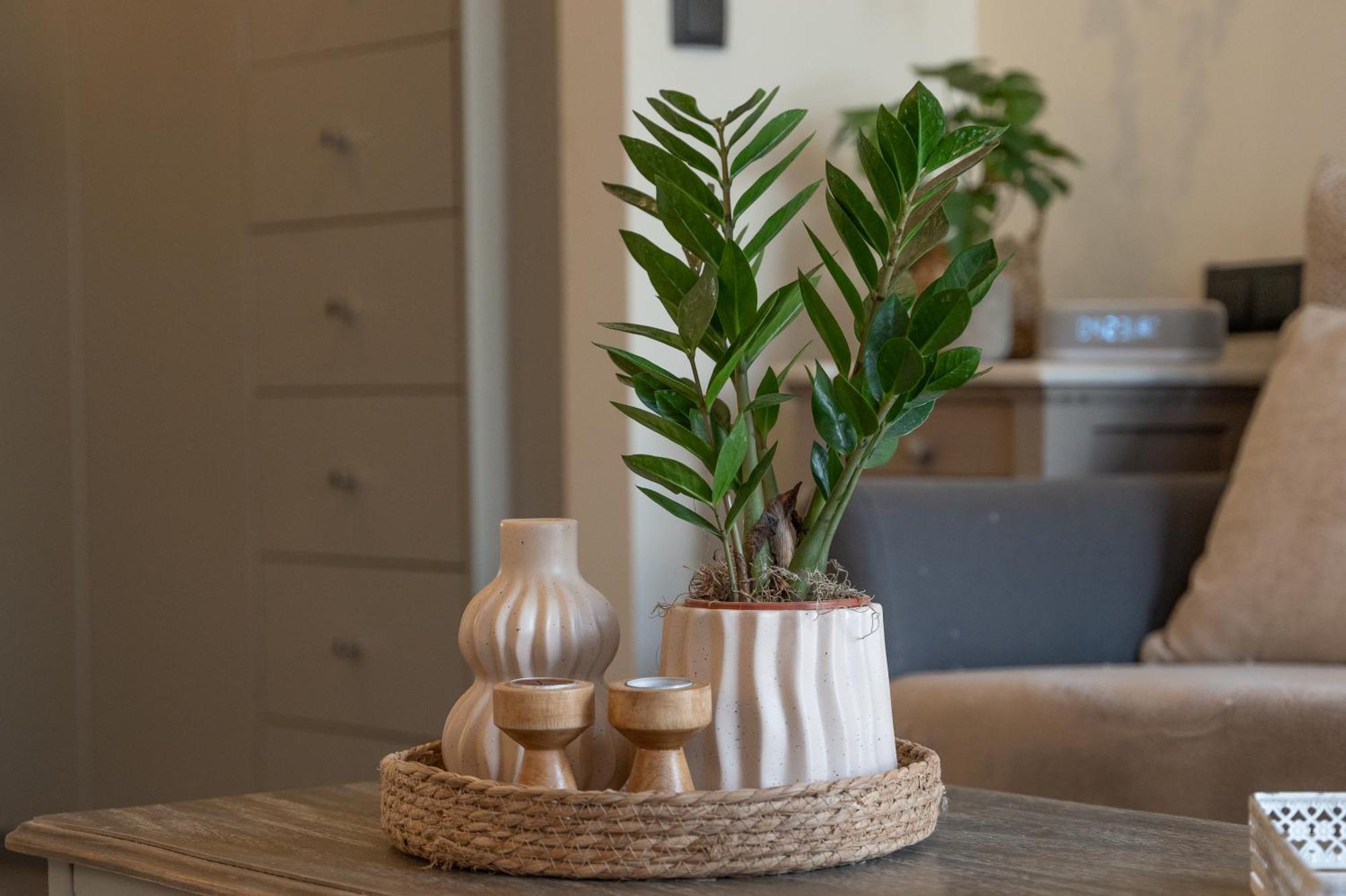 Ixia Home Buitenkant foto